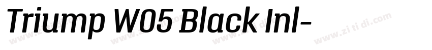 Triump W05 Black Inl字体转换